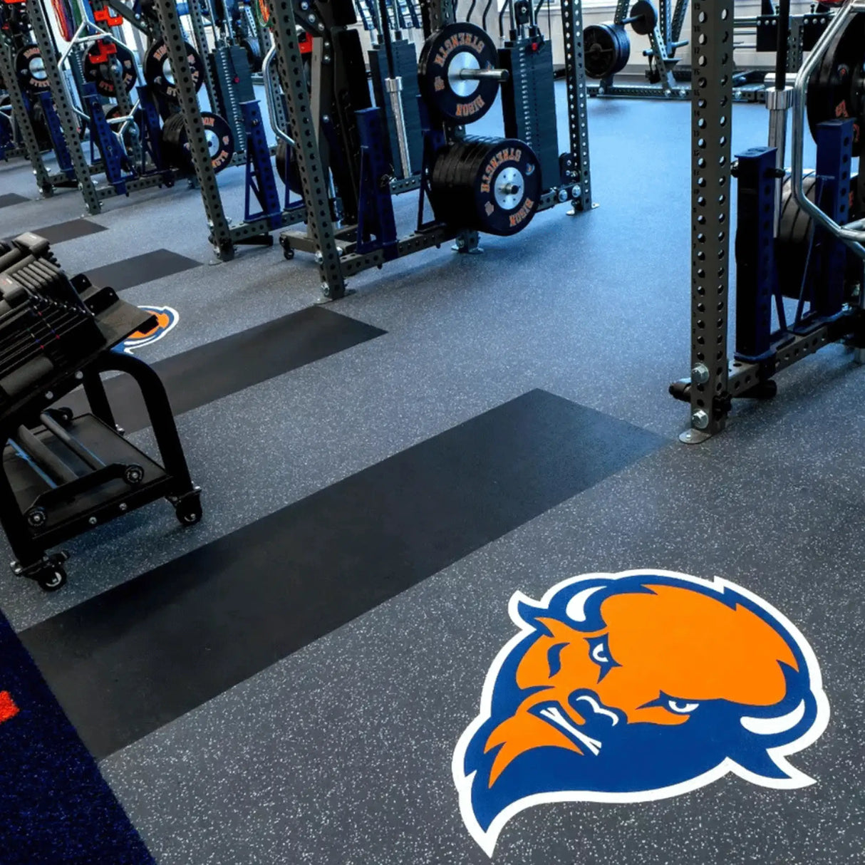 A gym weight room with racks of weights and equipment features a large blue and orange bison logo on the floor, which is kept spotless using ECORE E-Cleaner All Purpose Floor Cleaner by ECORE Athletic.