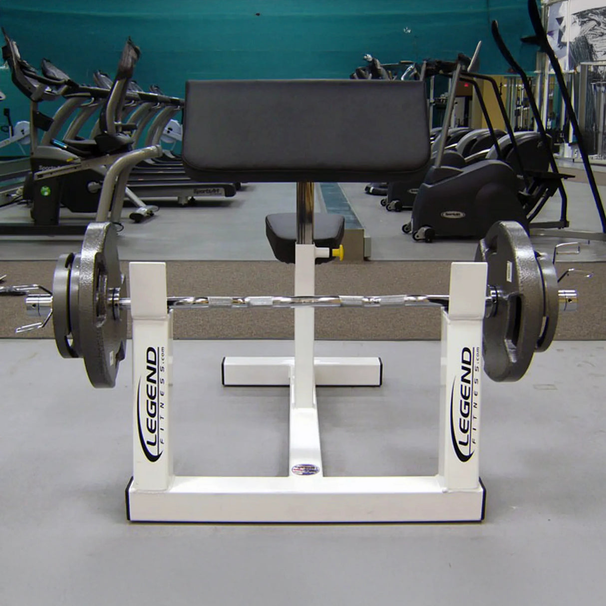 A black and white curl pedestal with gray plates and a silver bar in a gym setting