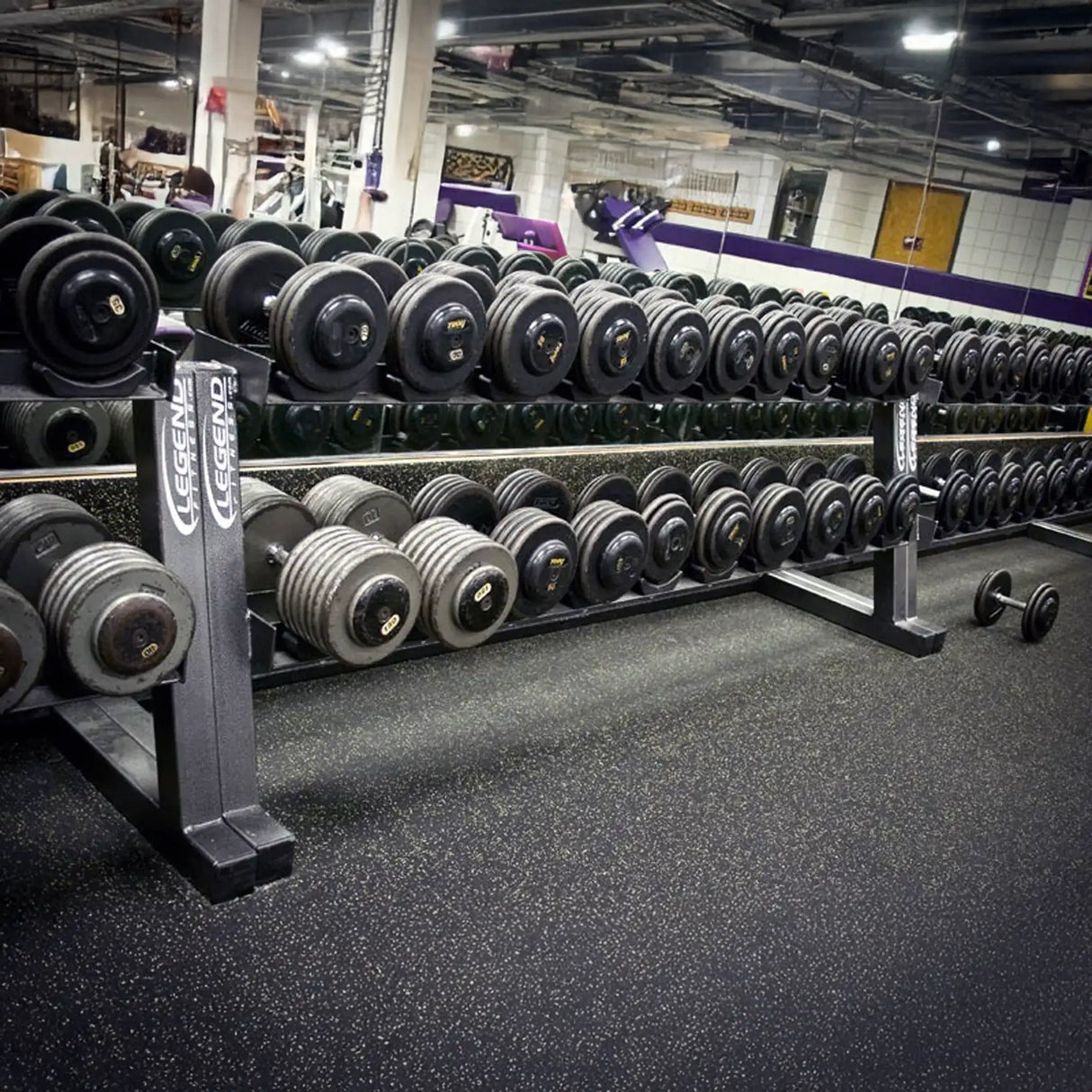 Multiple dumbbell racks in a row with dumbbells on them in agym setting