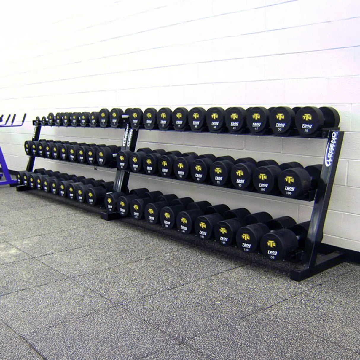 Two dumbbell racks with dumbbells on them in a gym setting