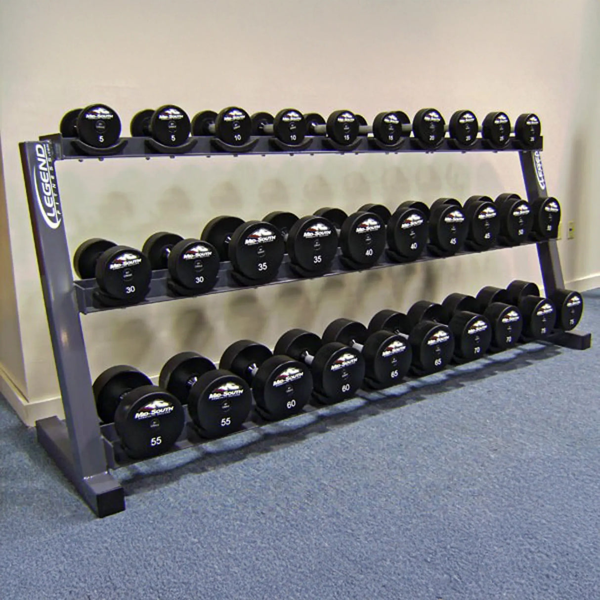 Dumbbell rack with weights on a blue carpeted floor against a beige wall.