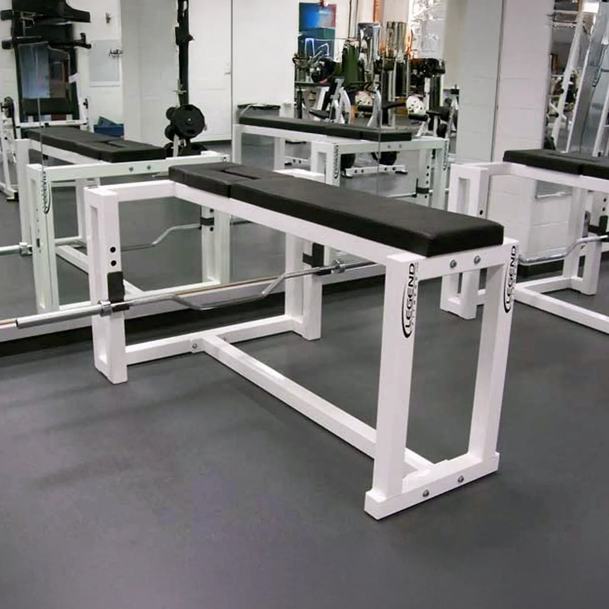 A black and white seal row machine in a gym setting