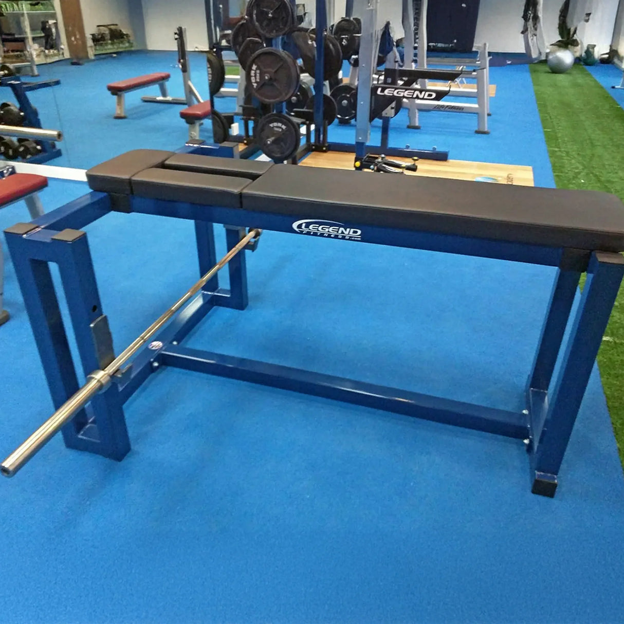 A black and blue seal row machine on a blue floor in a gym setting