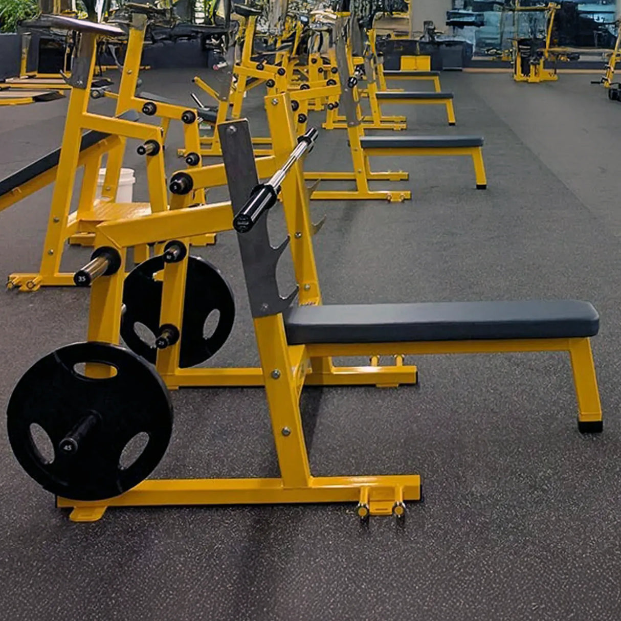A row of black and yellow Olympic flat bench presses in a gym