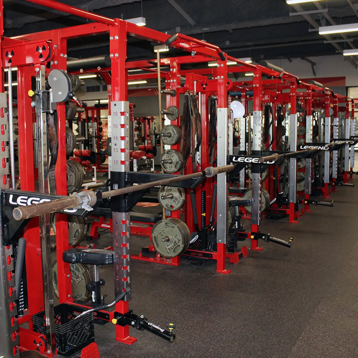 A row of red Legend Fitness cages