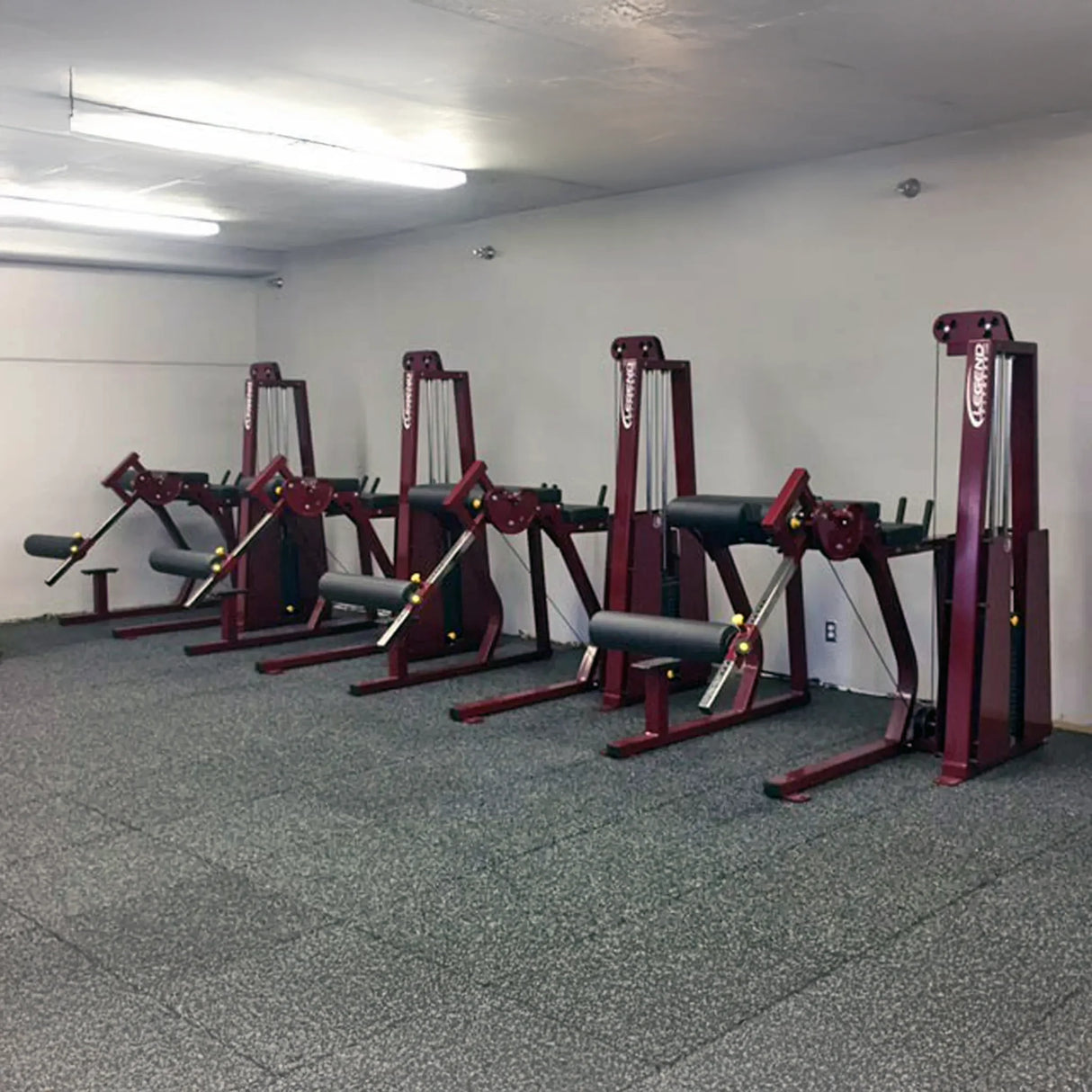 Four Legend Fitness 974 Pro Reverse Back Extension Machines stand in a row against a white wall on a speckled rubber gym floor, illuminated in an empty, well-lit workout room.