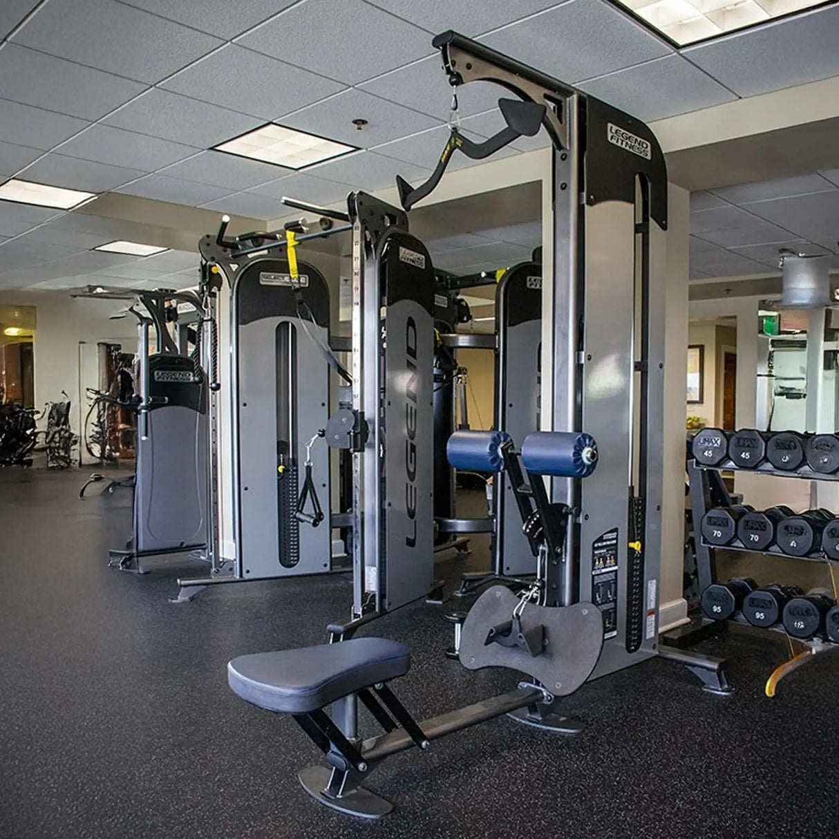 Gym interior with gray exercise equipment and weights