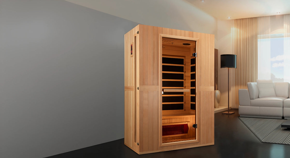 2 man sauna in a living room