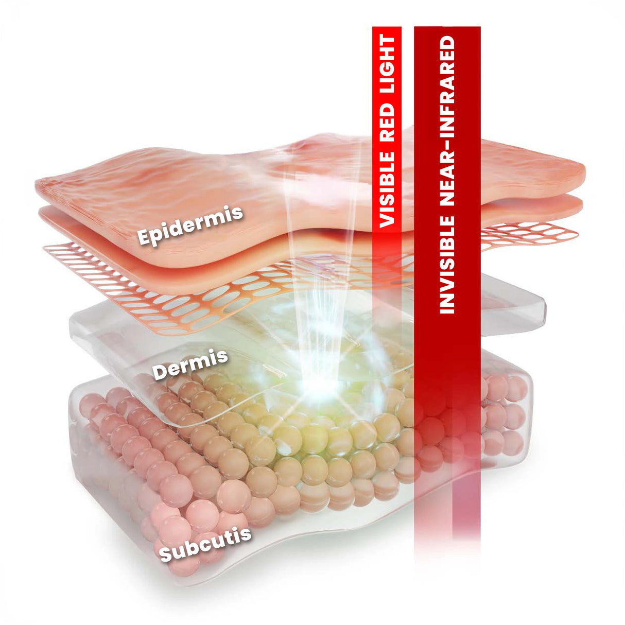 Diagram of red light and infrared light penetrating skin layers