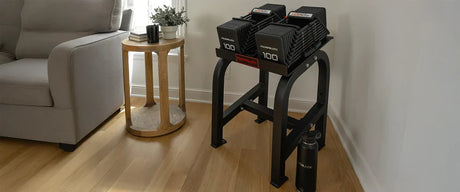 Set of black PowerBlock dumbbells on a stand sitting in the corner of a living room next to a couch and small table