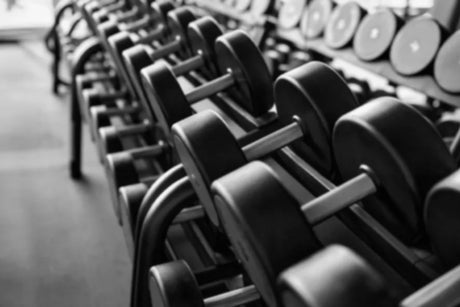 A closeup image of round dumbbells on a two-tier dumbbell rack