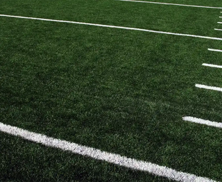 Turf