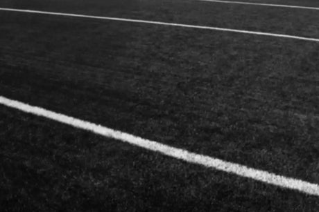 Turf