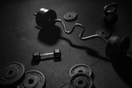 All Free Weights