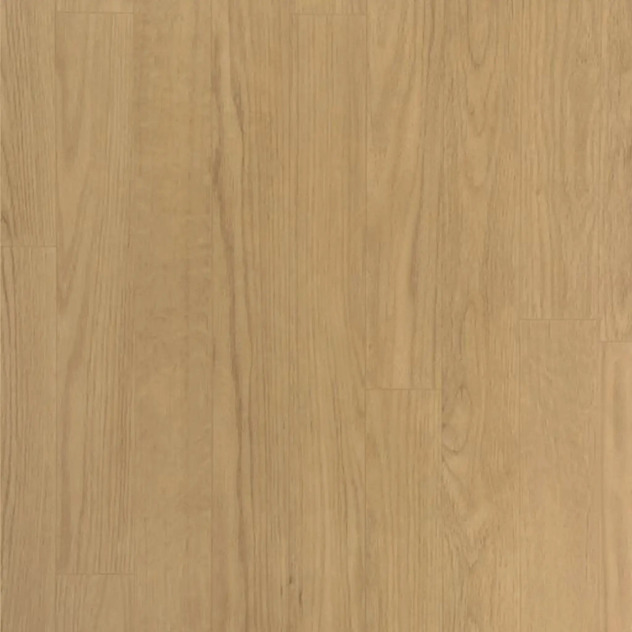 ECORE Baller Motivate Laminate Roll - 7mm Class 1 Flooring by ECORE Athletic features a light brown wood look with natural grain patterns, smooth finish, and subtle shade variations showcasing authentic lines and knots.
