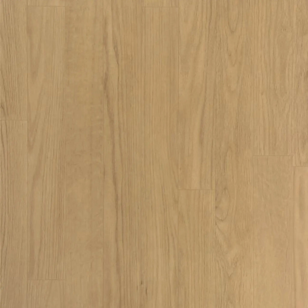 ECORE Baller Motivate Laminate Roll - 7mm Class 1 Flooring by ECORE Athletic features a light brown wood look with natural grain patterns, smooth finish, and subtle shade variations showcasing authentic lines and knots.