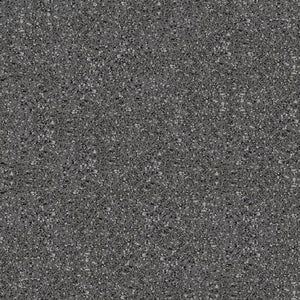 Close-up view of ECORE Athletic’s Performance Beast Rubber Roll - 10.5mm Flooring, showcasing its rough, speckled gray surface with black, white, and gray stone fragments throughout—resembling asphalt or concrete.
