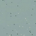 Clear Skies - 1710