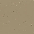 Dusty Road - 1706