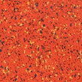 Orangesicle - PG77