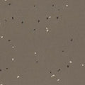Partly Cloudy - 1707