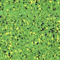 Sour Apple 2 - PG63A