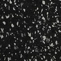 Zebra - 551