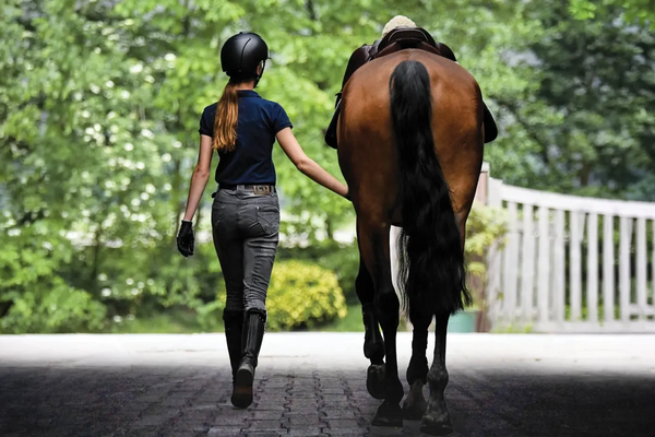 A woman walking alongside a tall brown horse on black rubber pavers