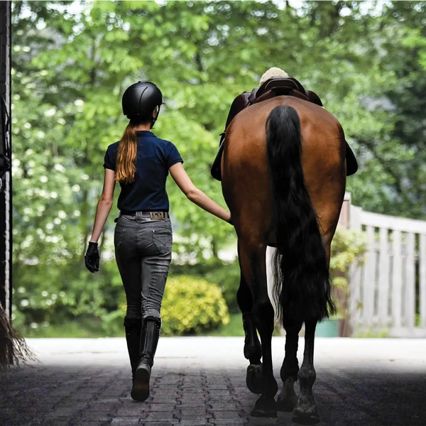 A woman walking alongside a tall brown horse on black rubber pavers