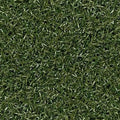 Green Grass