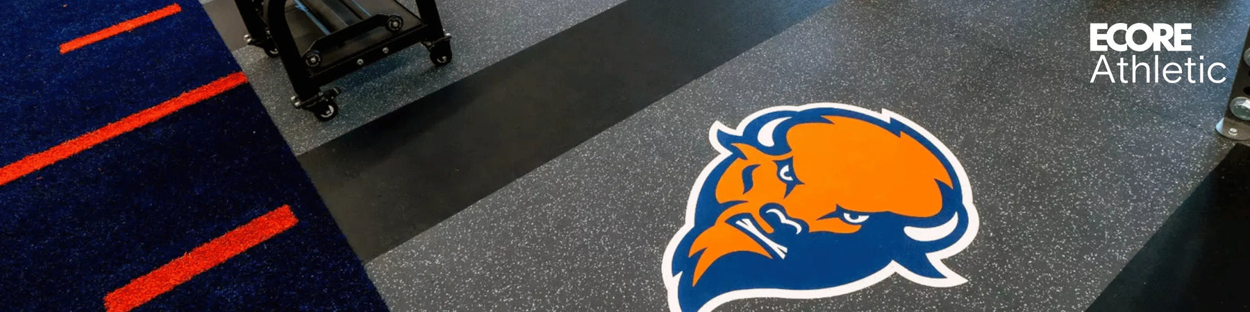 High School Weight Rooms