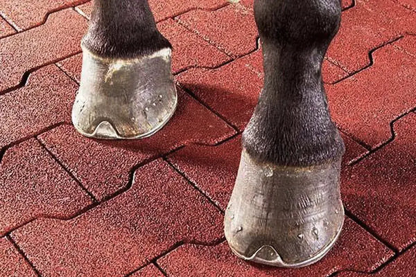 Two horse hooves standing on a red rubber paver floor
