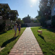 Two children walking a dog off leash on either side of a brick path in a residential neighborhood.