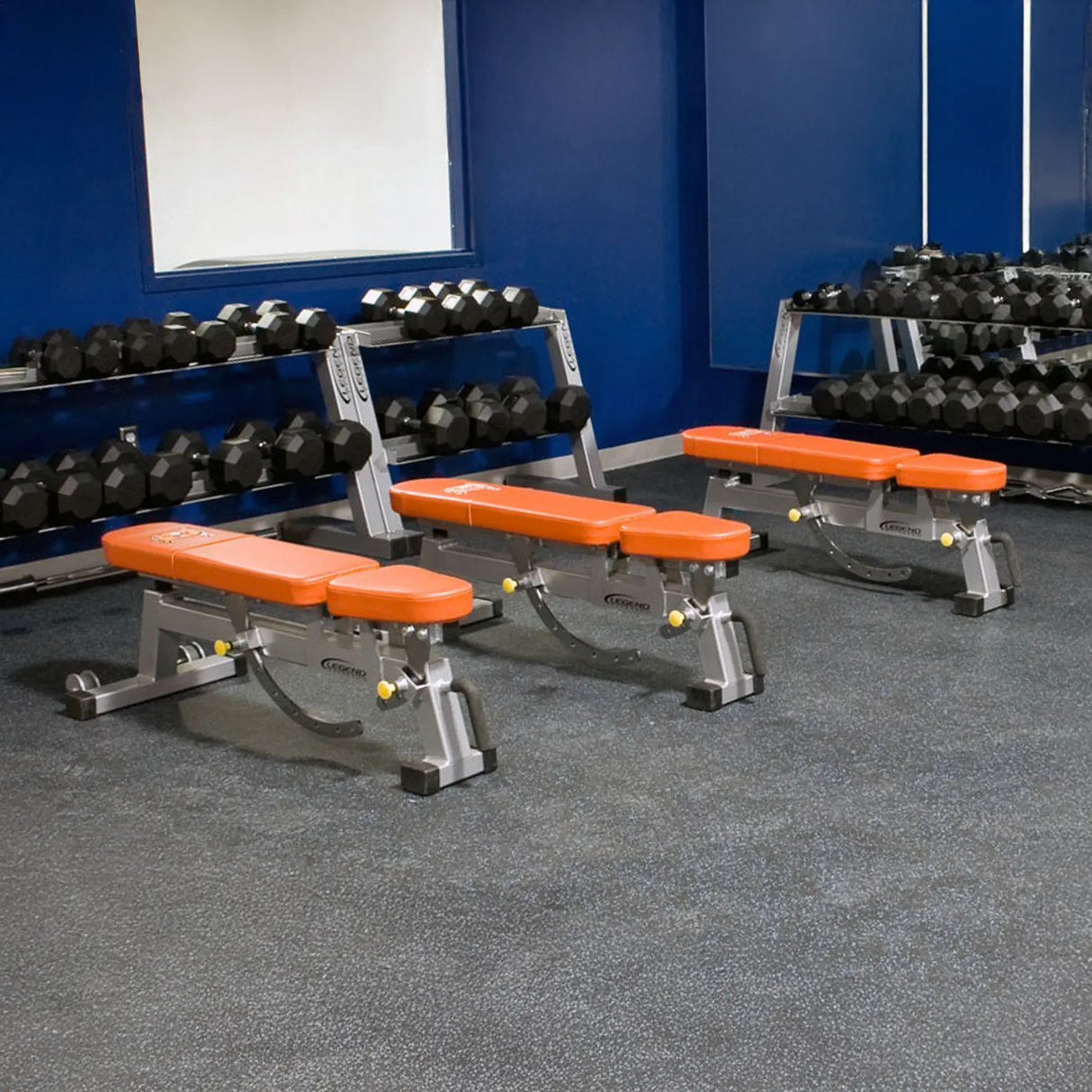 Gym equipment including weight benches and dumbbells in a blue room.