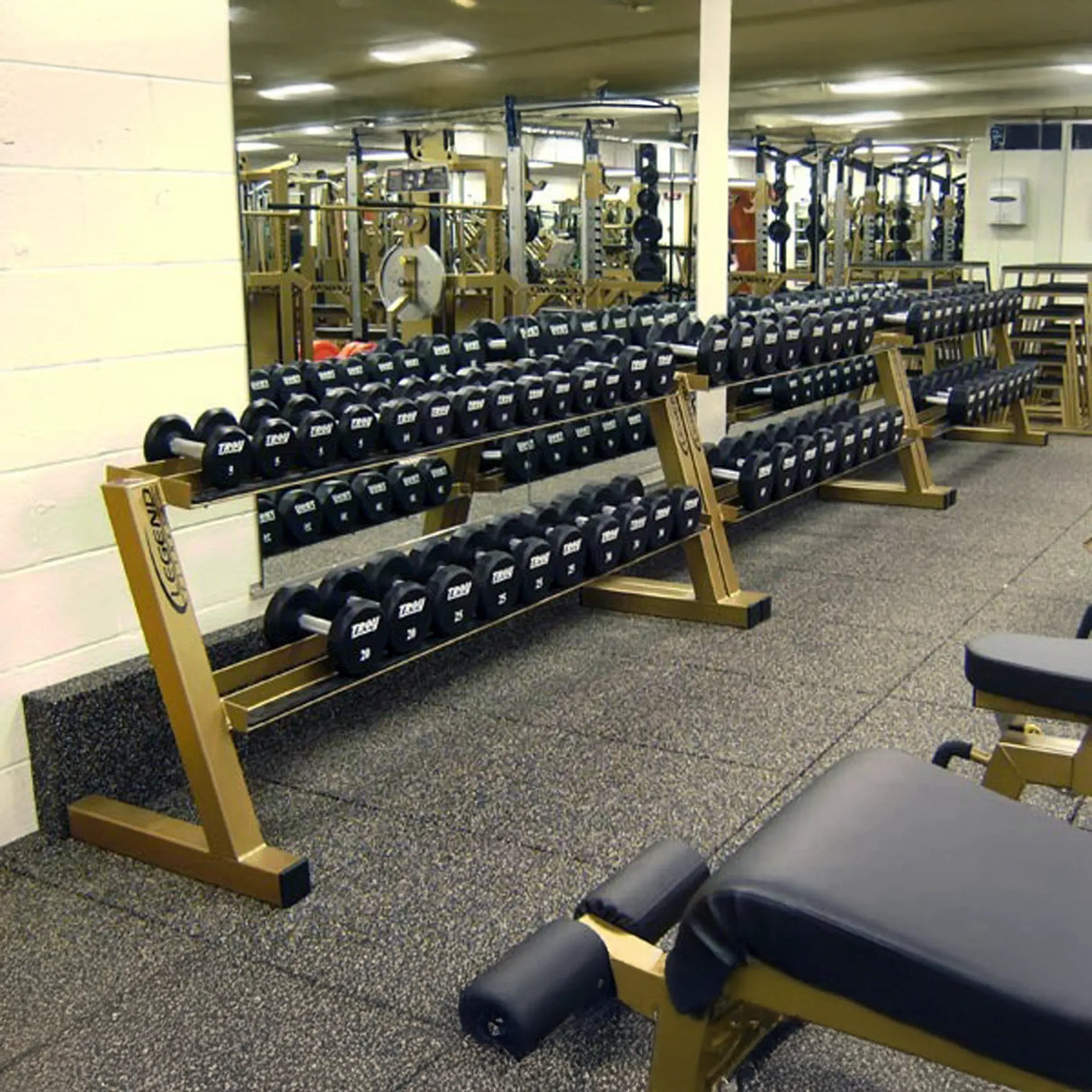 Gym interior with dumbbell racks and weightlifting equipment.