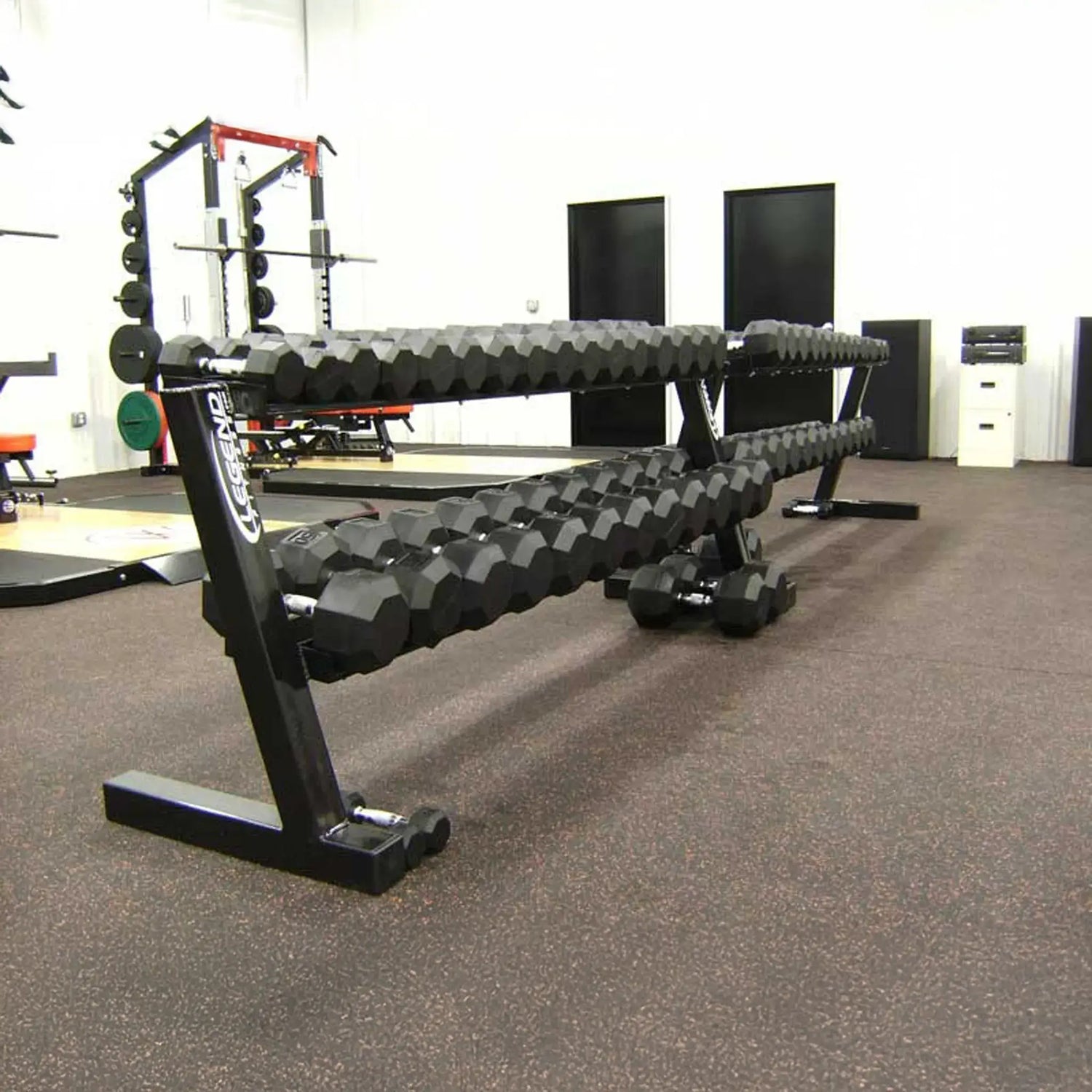 Row of dumbbells on a rack in a gym setting