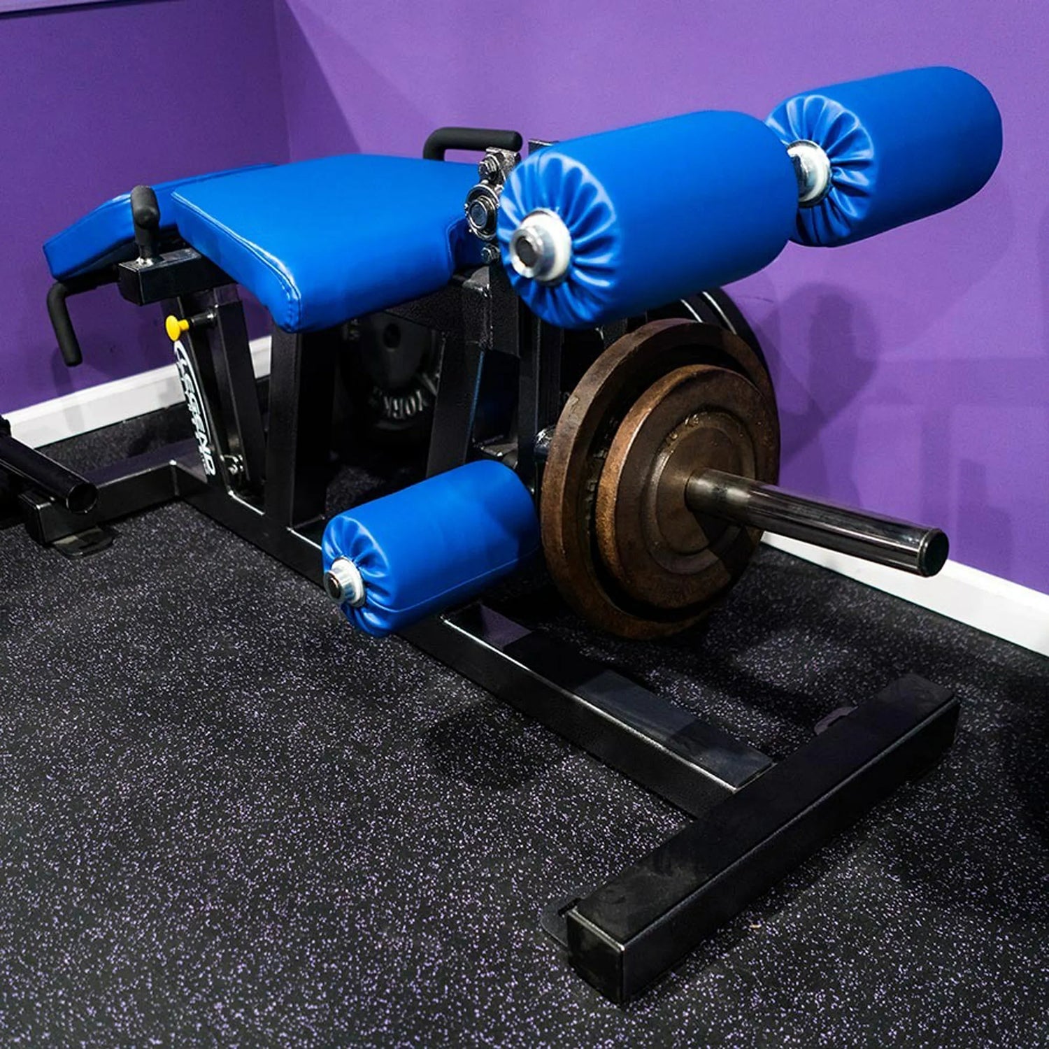 Legend Fitness 3135 Plate-Loaded Leg Extension / Leg Curl