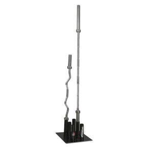 A black barbell storage holder with six slots and two barbells stored in it on a white background