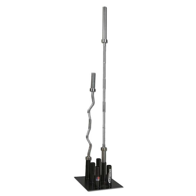 A black barbell storage holder with six slots and two barbells stored in it on a white background