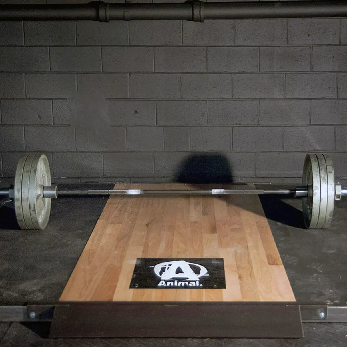 Wooden weightlifting platform with a barbell and 'Animal' logo on it on a dark brick wall background