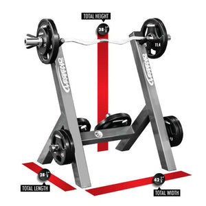 A silver curl pedestal with black plates and a silver curl bar on a white background