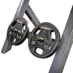 Close-up of weightlifting plate storage pegs connected to a gray metal frame with 'Legend Fitness' weight plates on a white background