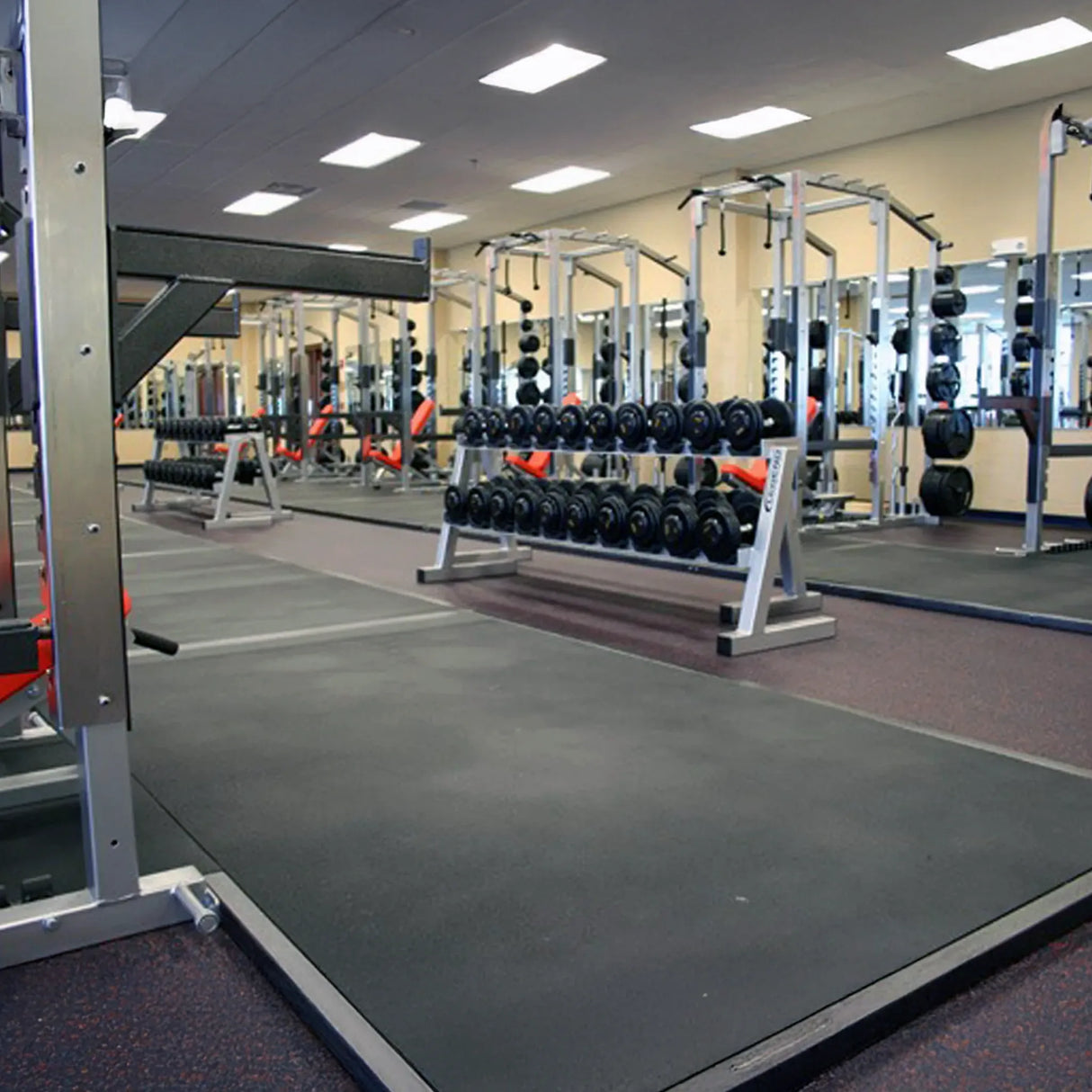 Gym interior with dumbbell racks, lifting platforms, and power cages