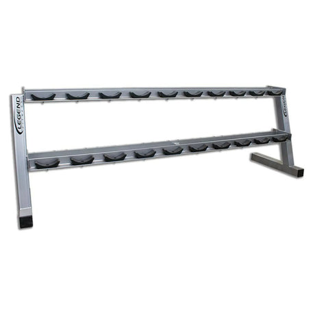 Silver metal dumbbell storage rack with black saddles on a white background