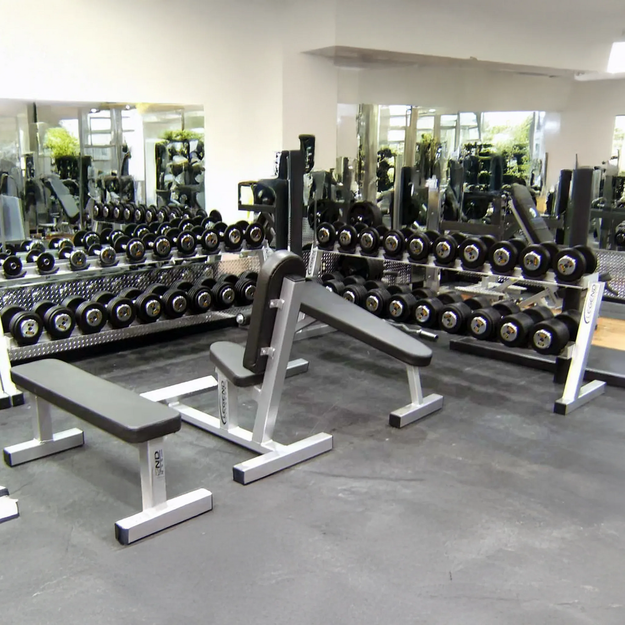 Gym interior with utility benches and dumbbell racks with dumbbells on them