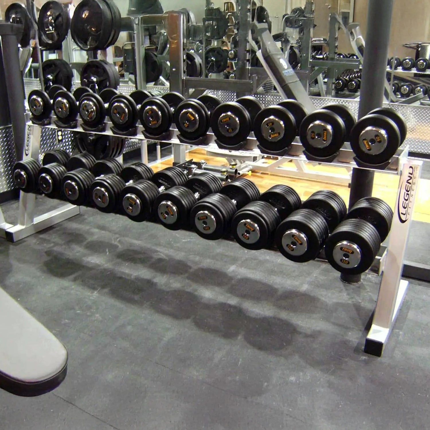 Dumbbells on a white rack in a gym setting