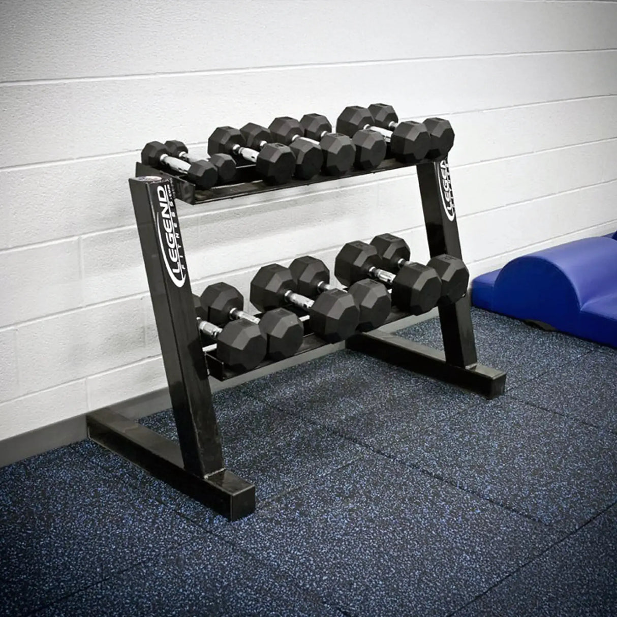 Dumbbell set on a rack in a gym setting with a blue mat in the background.