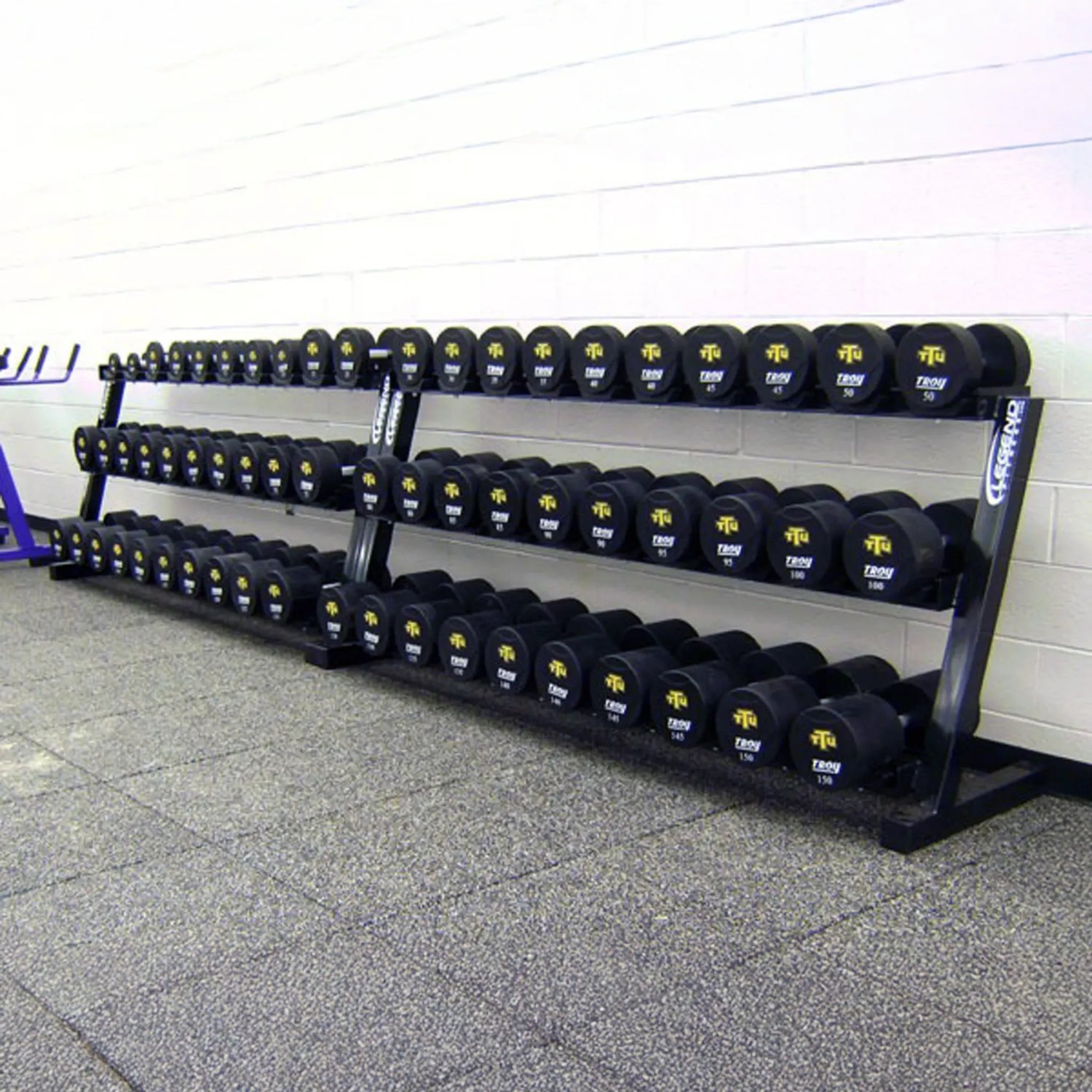 Two dumbbell racks with dumbbells on them in a gym setting