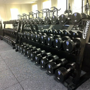Row of black dumbbells on two dumbbell racks in a gym setting
