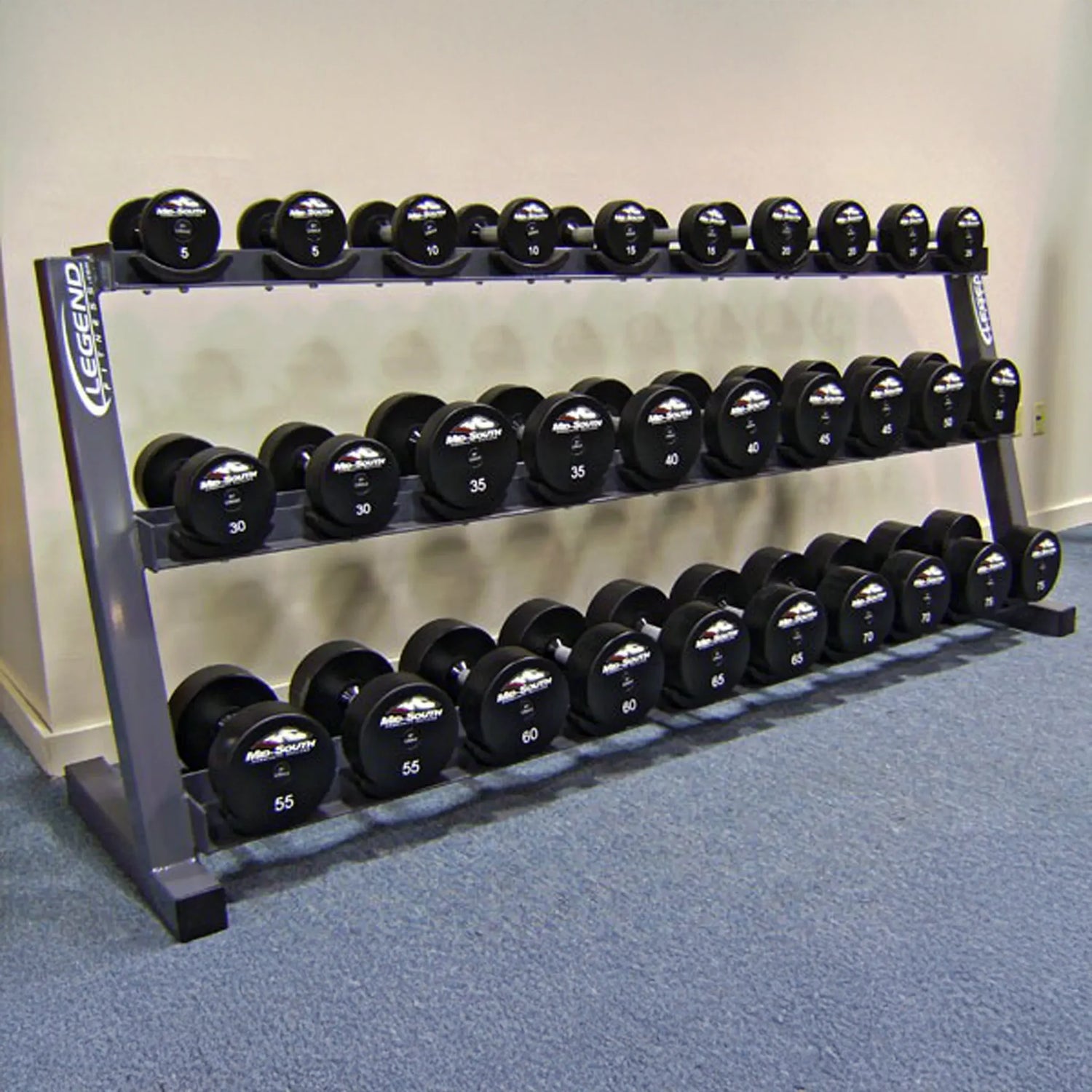 Dumbbell rack with weights on a blue carpeted floor against a beige wall.